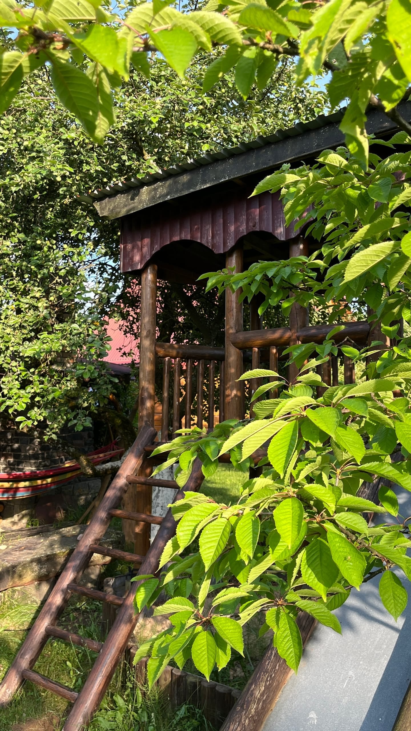 Medinė vaikų žaidimų aikštelė tarp žalių lapų